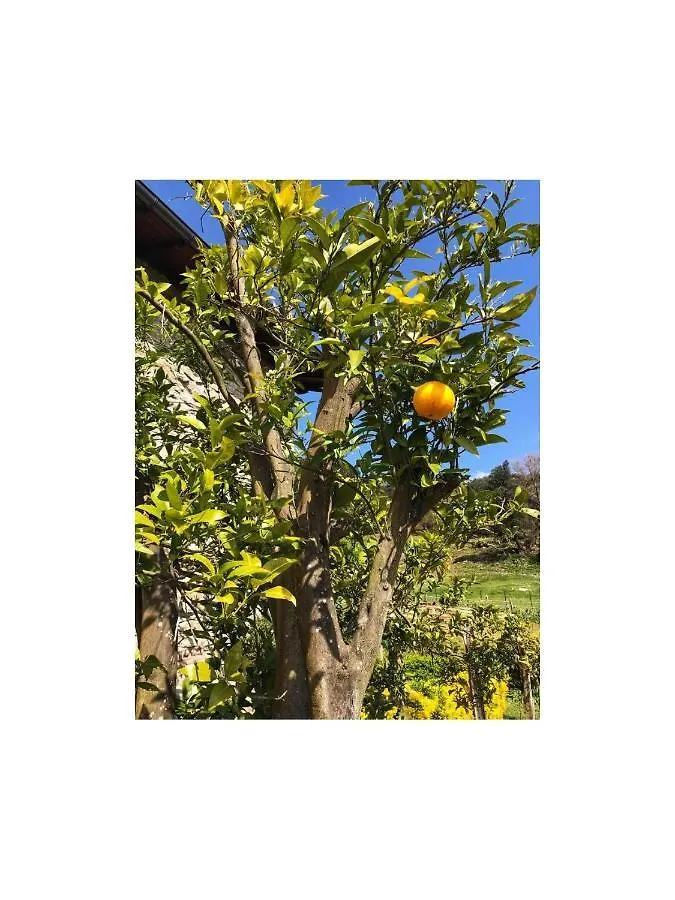 דירות Gautegiz Arteaga Ozamiz Urdaibai
